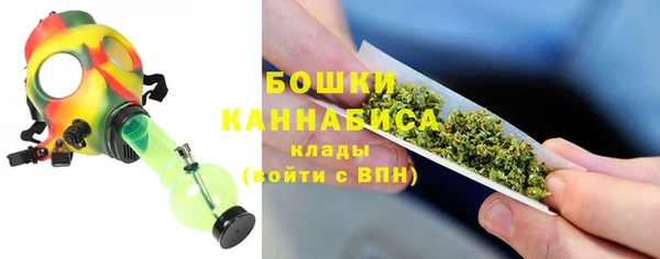 прущие крисы Белокуриха
