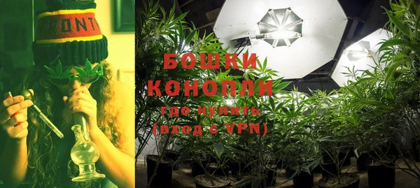 прущие крисы Белокуриха