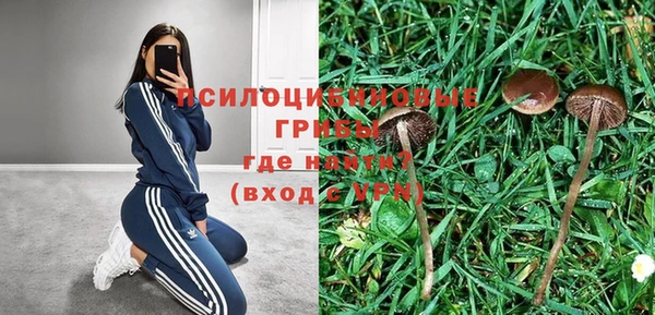 прущие крисы Белокуриха
